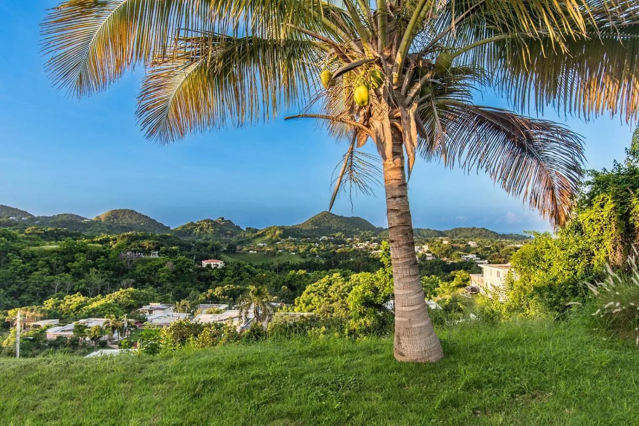 Casa Cielo Villa Rincon Puerto Rico